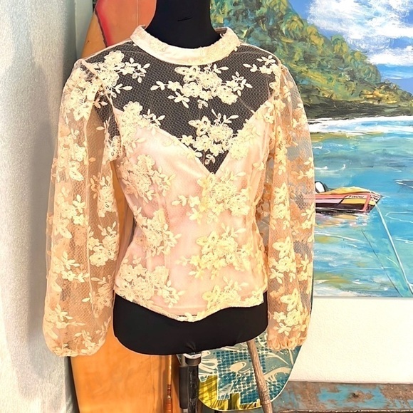 🧡Peach,Gorgeous & Sultry Tatted Lace & Mesh, Victorian-Fashioned Beauty,Size XL - Picture 9 of 16